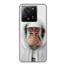 Чехлы с Обезьянами NFT для Xiaomi 13T (AlphaPrint) (обезьяна NFT в тату)