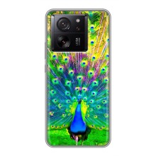 Чехол с птицами на Xiaomi 13T (VPrint) (Яркий Павлин)