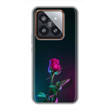 Чехлы с принтом Розочки для Xiaomi 14 Pro – Ночная роза