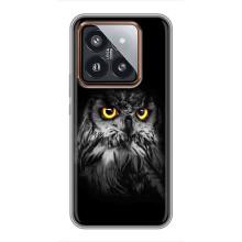 Чехлы с принтом СОВЫ для Xiaomi 14 Pro – Сова на чёрном