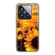 Чехол с Цветами для Xiaomi 14 Pro (поле подсолнухов)