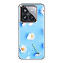 Чехол с Цветами для Xiaomi 14 Pro (ромашки на голубом)