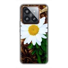 Чехол с ромашками на Xiaomi 14 Pro – Белая ромашка