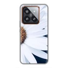 Чехол с ромашками на Xiaomi 14 Pro – Пол ромашки