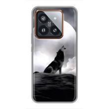 Чехол с Волком на Xiaomi 14 Pro – Волк и луна