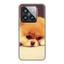 Чехол (ТПУ) Милые собачки для Xiaomi 14 Pro (Померанский шпиц)