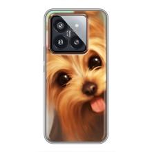 Чехол (ТПУ) Милые собачки для Xiaomi 14 Pro (Йоршенский терьер)
