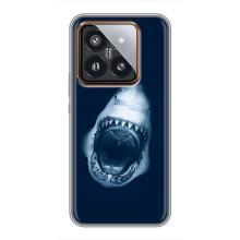Силиконовый бампер с картинкой животных для Xiaomi 14 Pro (Пасть Акулы)
