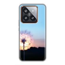 Силиконовый Чехол с одуванчиками на Xiaomi 14 Pro – Закат с одуванчиком