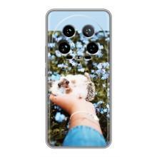 Чехлы с изображением разных животных для Xiaomi 14 Ultra (Ежик на руках)