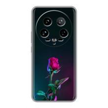 Чохли з принтом Троянд для Xiaomi 14 Ultra – Нічна троянда