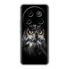 Чехлы с принтом СОВЫ для Xiaomi 14 Ultra – Сова на чёрном