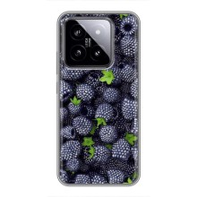 Чехлы с Фруктами для Xiaomi 14 (VPrint) (Ежевика)