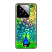 Чохол з пташками на Xiaomi 14 (VPrint) (Яскравий Павлин)