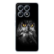 Чехлы с принтом СОВЫ для Xiaomi 14T Pro – Сова на чёрном