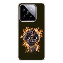 Чехлы на военную тематику для Xiaomi 15 – Бавовна мем