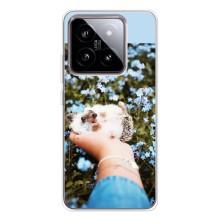 Чехлы с изображением разных животных для Xiaomi 15 (Ежик на руках)