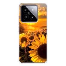 Чехол с Цветами для Xiaomi 15 (поле подсолнухов)