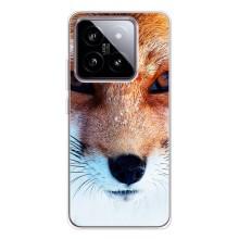 Чохол з Лисичкою для Xiaomi 15 – Руда Лисичка