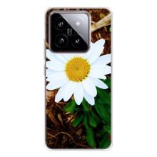 Чехол с ромашками на Xiaomi 15 – Белая ромашка