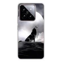 Чохол з Вовком на Xiaomi 15 – Вовк і місяць