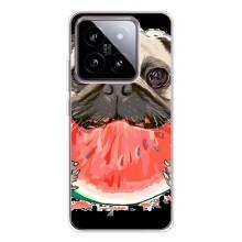 Чехол (ТПУ) Милые собачки для Xiaomi 15 – Смешной Мопс