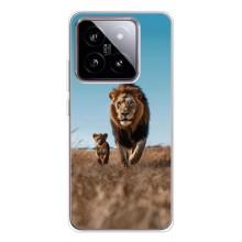 Чохол Король лев на Сяомі 15 – Мусафа і Сімба