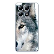 Чехлы с картинками животных Xiaomi 15T Pro – Волк
