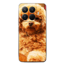 Чохли з собаками для Xiaomi 15T Pro (VPrint) (Цуценя Бішон)