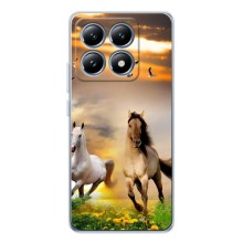 Чехлы с Лошадью дляXiaomi 15T (VPrint) (Лошадки)