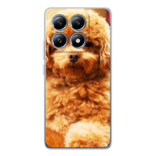 Чехлы с собаками для Xiaomi 15T (VPrint) (Щенок Бишон)
