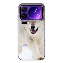 Чохол з Вовком на Xiaomi 17 Pro Max – Вовк біжить по снігу