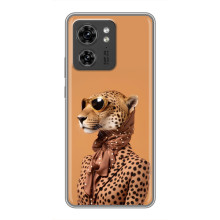 Чохол з принтом стильні тварини для Xiaomi 17 Про Макс 
 (Стильний леопард)