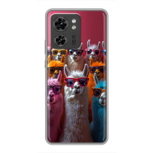 Чехол с принтом стильные животные для Шяоми 17 Про 
 – Ламы в очках