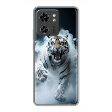 Чехол с картинкой «Хищники» для Xiaomi 17 Pro – Тигр