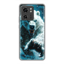 Чехол с картинкой «Хищники» для Xiaomi 17 Pro – Медведь