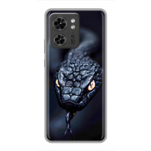 Чехол с картинкой «Хищники» для Xiaomi 17 Pro – Змея
