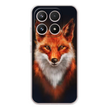 Чехол с принтом лисички на Xiaomi Семнарядца – Лиса на черном