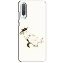 Чехол на тематику: Коты для Xiaomi CC9 – Отдых