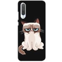 Чехол на тематику: Коты для Xiaomi CC9 – Взгляд кота