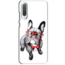 Бампер для Xiaomi CC9 з картинкою "Песики" (В окулярах)