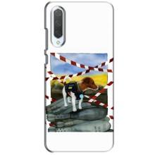 Чохол з принтом Песика Патрон для Xiaomi CC9 (Хоробрий Патрон)