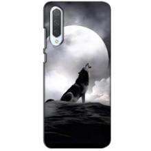 Чехол с Волком на Xiaomi CC9 – Волк и луна