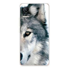Чехлы с картинками животных Xiaomi Civi 1S (Волк)
