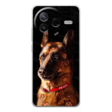 Чехлы с картинками животных Xiaomi Civi 4Pro (Овчарка)