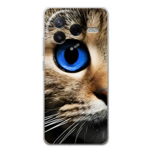 Чехлы с Котиками для Xiaomi Civi 4Pro (VPrint) (Глаз кота)