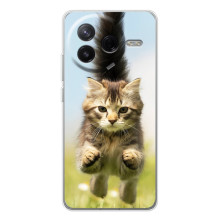 Чехлы с Котиками для Xiaomi Civi 4Pro (VPrint) (Прыжок кота)