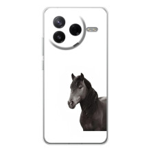 Чехлы с Лошадью дляXiaomi Civi 4Pro (VPrint) (Черный Конь)