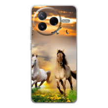Чехлы с Лошадью дляXiaomi Civi 4Pro (VPrint) (Лошадки)