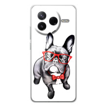 Бампер для Xiaomi Civi 4Pro с картинкой "Песики" (В очках)